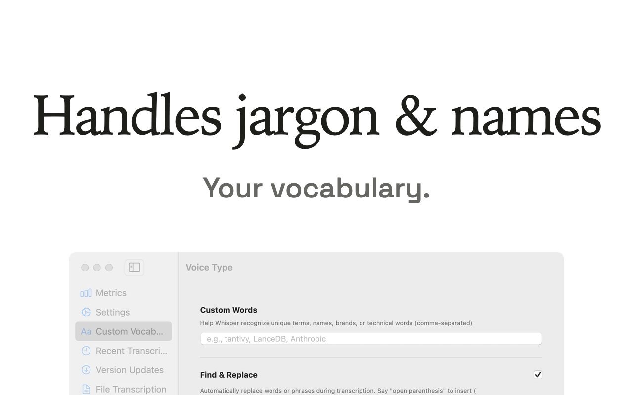 A Voice Type App Store screenshot headed Handles jargon and names, above the Custom Vocabulary settings pane with a Custom Words field and a Find and Replace toggle